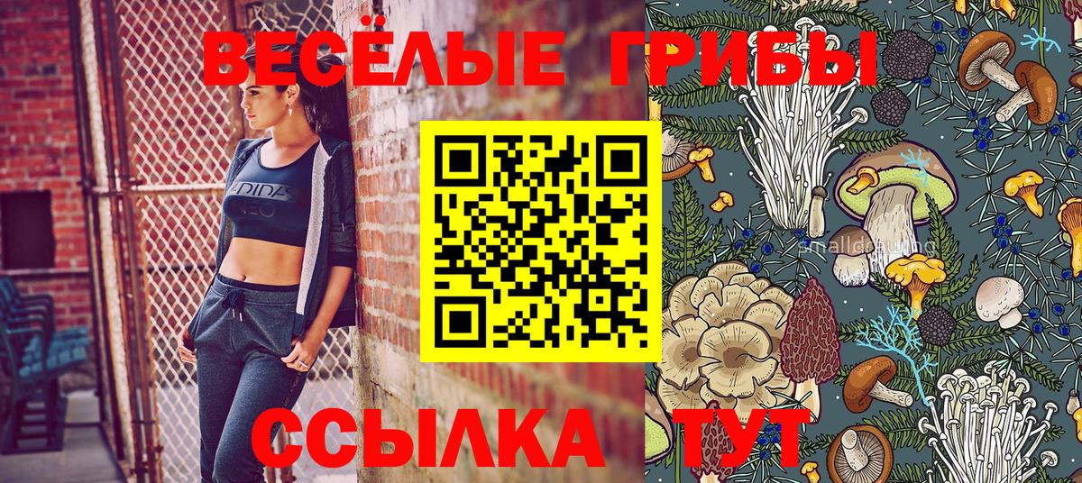 Псилоцибиновые грибы мухоморы Ковров