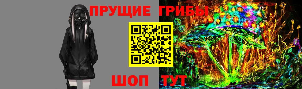 Галлюциногенные грибы Psilocybe  Вход с VPN  Ковров  Псилоцибиновые грибы мухоморы 