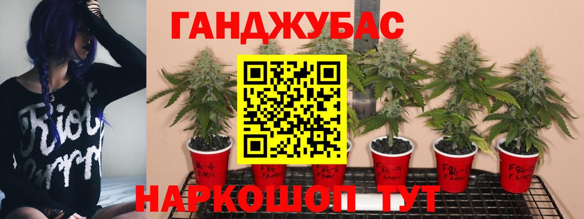 Каннабис Amnesia  Конопля план  Шишки марихуана THC 21%  Ковров  Вход с VPN 